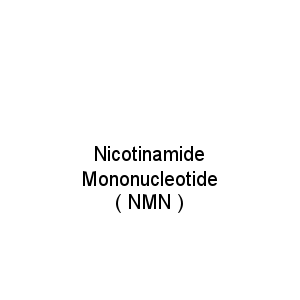 Nicotinamide Mononucleotide ( NMN )